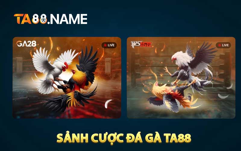 Sảnh cược đá gà TA88 